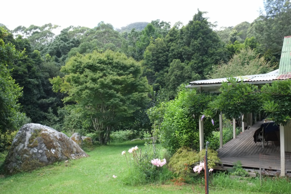 Facing east; the most distant points in the pciture are trees at the top of the cliffs