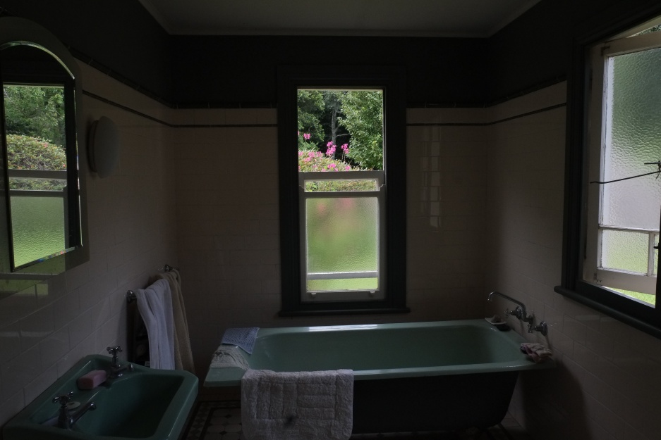 View of a garden through the bathroom window