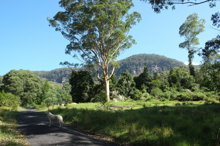On the way up to Green Ridges