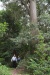 David and Gabby beside one of the older trees in the forest