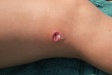 Guess what this is