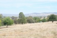 A view of the landscape around Glenrowan.